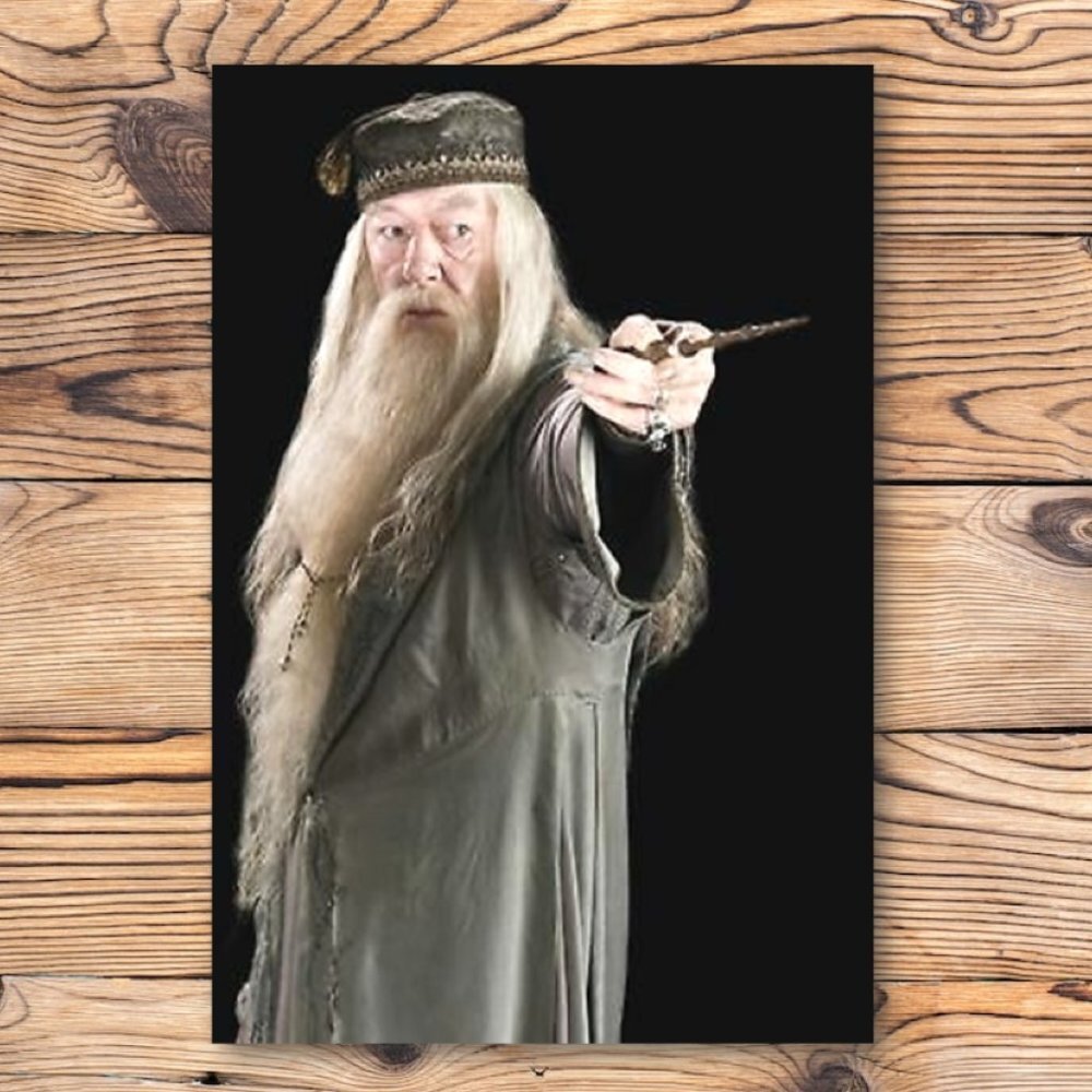 Harry Potter Professor Albus Dumbledore Refrigerator Locker Fridge Magnet